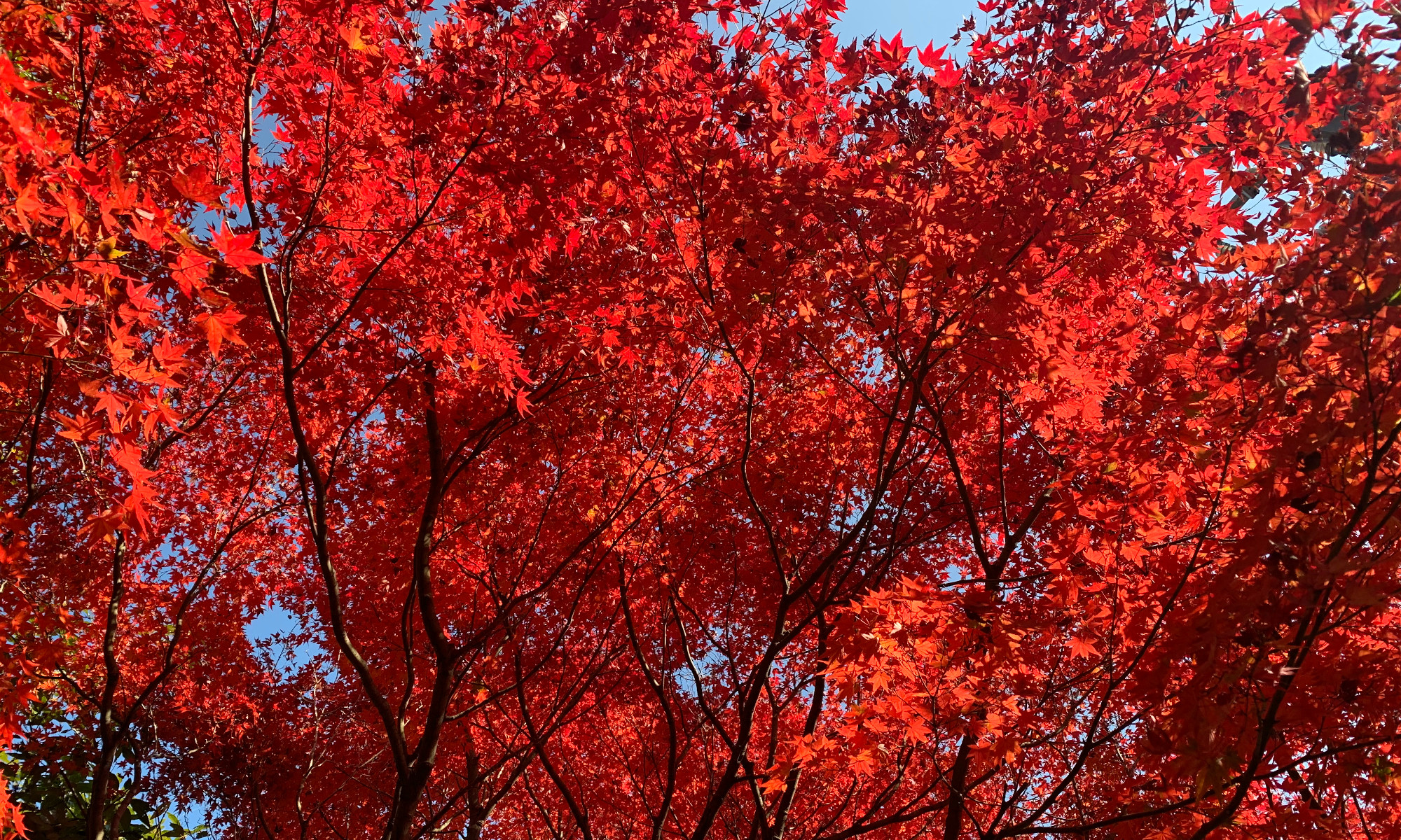 傷のかゆみをケアする方法